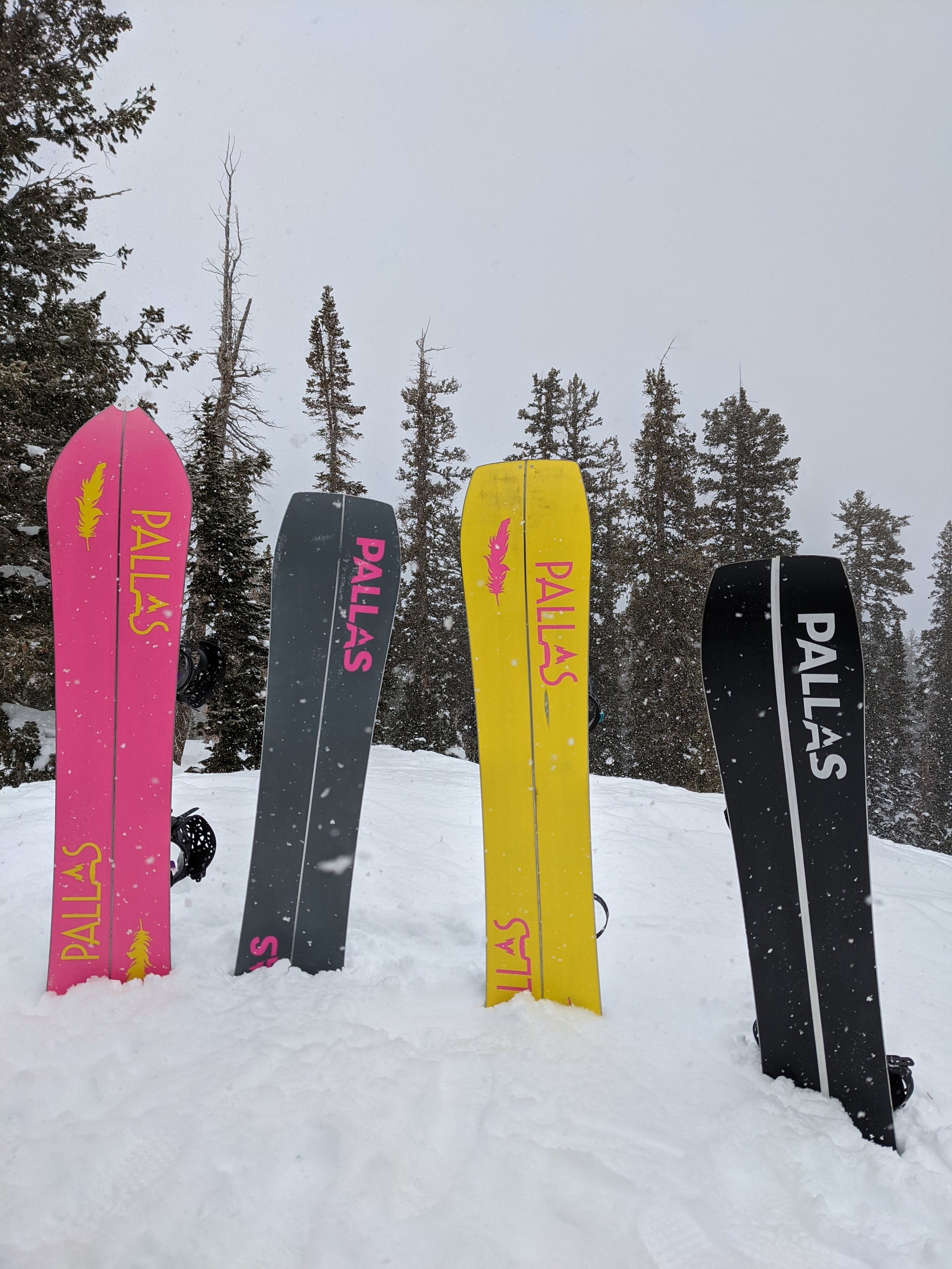 Four different Pallas splitboards are standing upright in the snow, including the Epiphany Alpine Series. This photo shows the difference in inside edge construction between the Epiphany Alpine Series and normal splitboards.