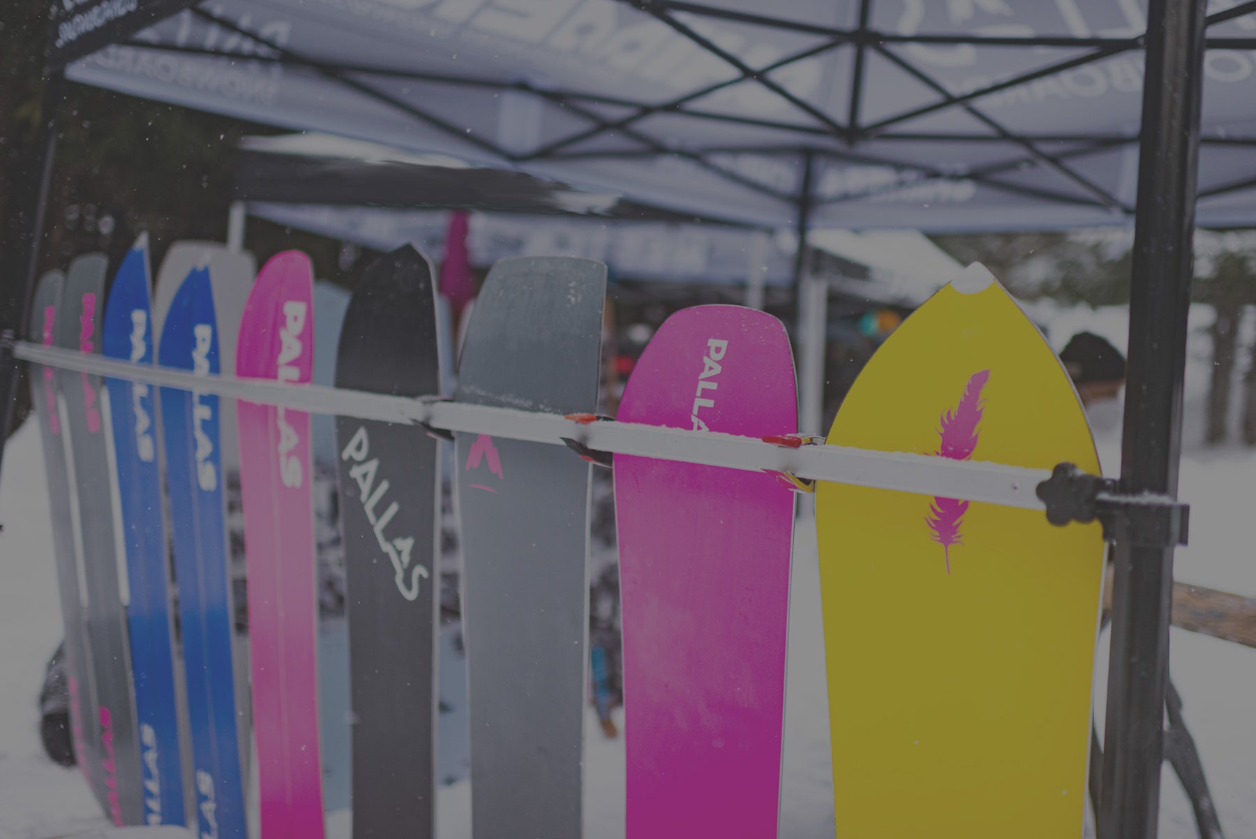 Image of a row of Pallas snowboards displayed under a tent at an on-snow demo event at a ski area. The bases are bright and colorful and show multiple versions of the Pallas logo.